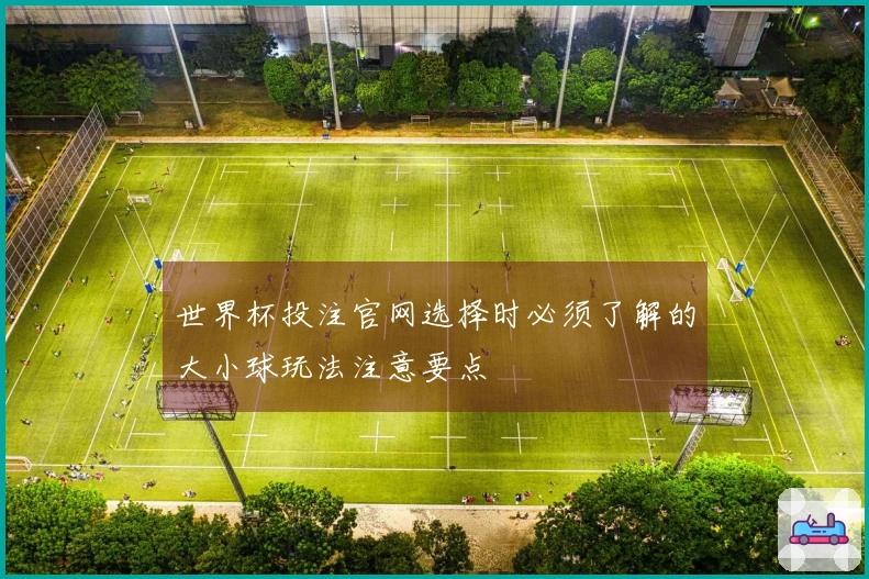 世界杯投注官网选择时必须了解的大小球玩法注意要点